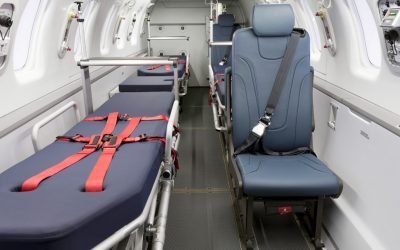 Citation-XL-01-opqnveis9iwf7fjvjutis7u3918jxg6gsh1dl8b8w4